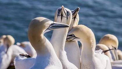 开云体育-李明全面爆发！攻防两端都做出巨大贡献！，李明筒历