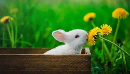 开云体育-李明全面爆发！攻防两端都做出巨大贡献！，李明筒历