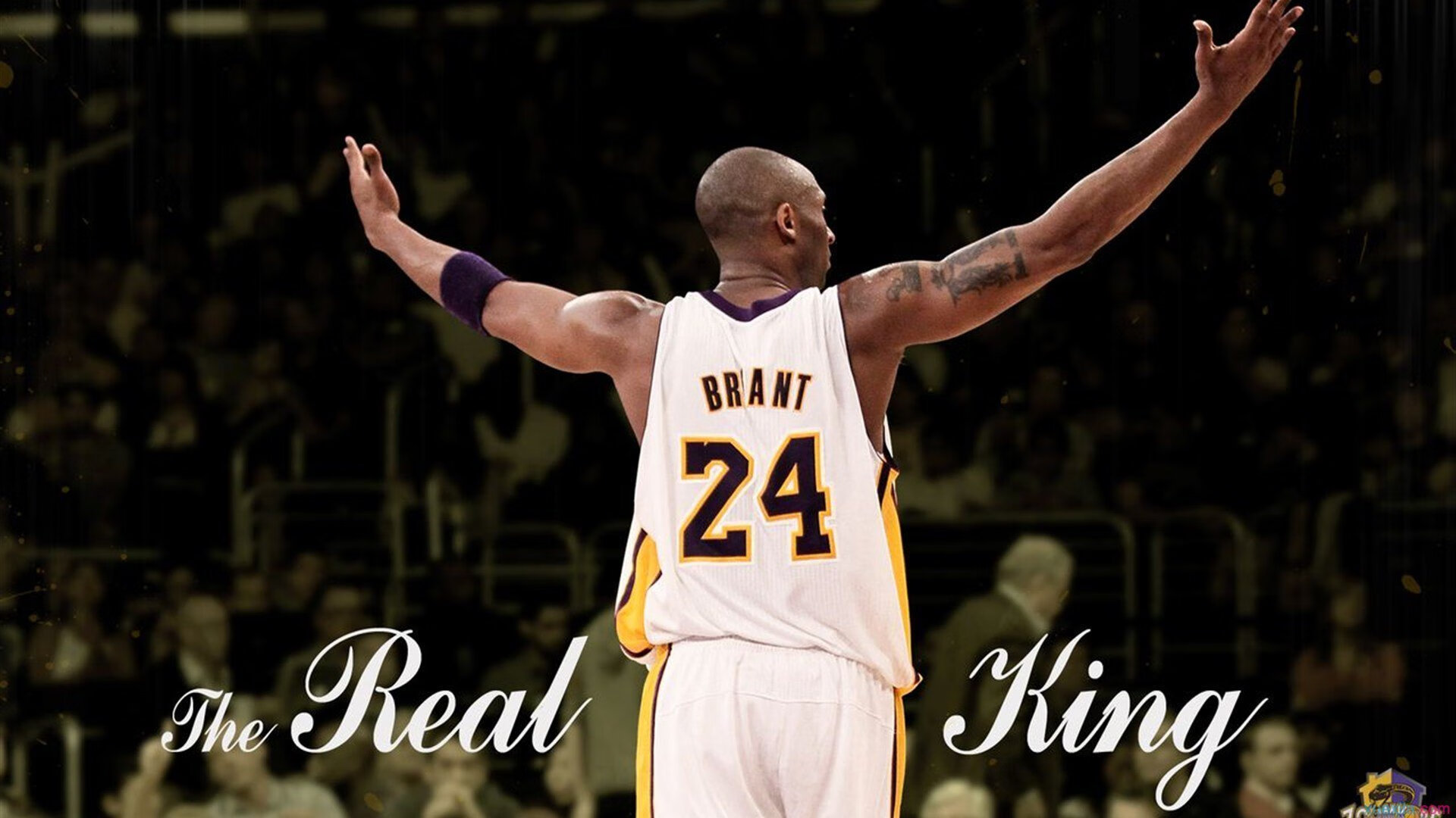 场外狂欢：车迷盛会与文化展演